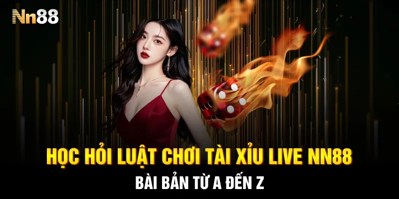 Học hỏi luật chơi tài xỉu live NN88 bài bản từ A đến Z