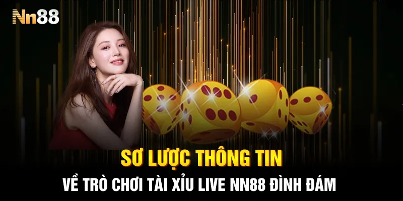 Sơ lược thông tin về trò chơi tài xỉu live NN88 đình đám